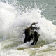 Illustration for article titled Heres an adorable baby elephant gallivanting around at the beach